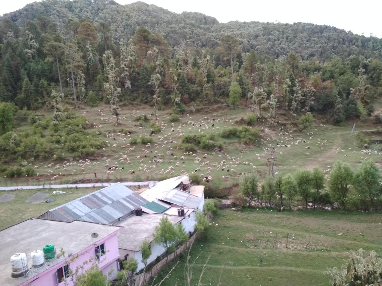 Bholenath Homestay ダルハウジ エクステリア 写真